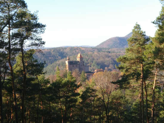 Hans-Trapp-Tour, Erlenbach